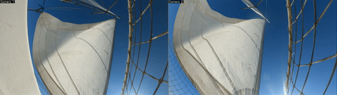 SailCV combined demo